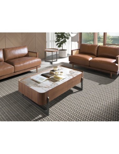 Mesa centro rectangular mármol porcelánico,...