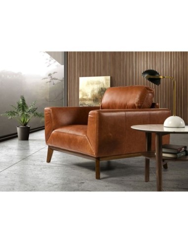 Sillón piel marrón