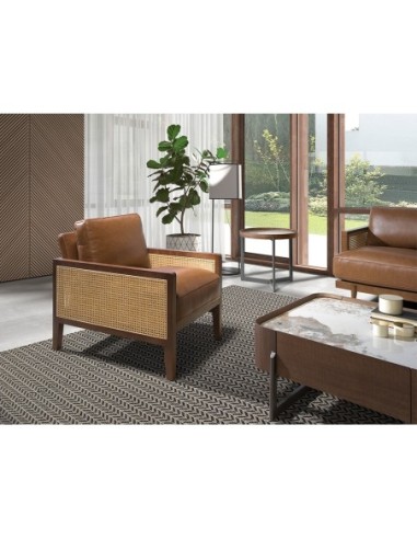 Sillón piel marrón