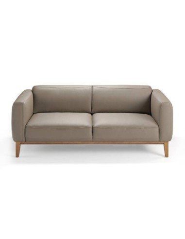 Sofá 3 plazas piel visón